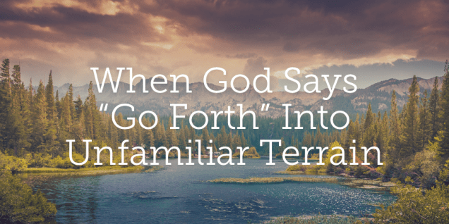 blogtwimport151118-when-god-says-go-forth[1]